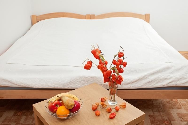 Apartments Castanea 사라예보 객실 사진